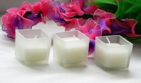 Square Frosted Glass Holder Votive Candle - White Wax - BULK Buy